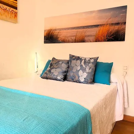 Palmera Del Mar